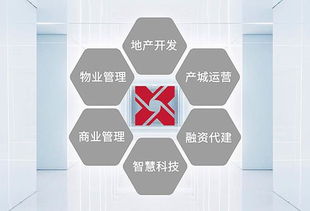 主輔業(yè)互相賦能 鑫苑戰(zhàn)略轉(zhuǎn)型漸入佳境